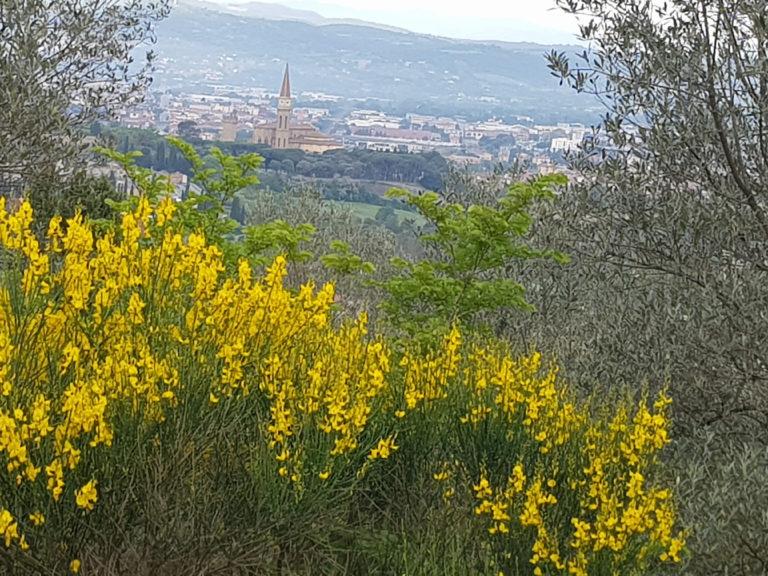 Arezzo, tutte le notizie di oggi: 11 Maggio