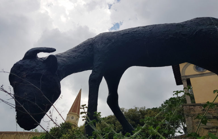 Un’erba imbarazzante ad Arezzo (video)