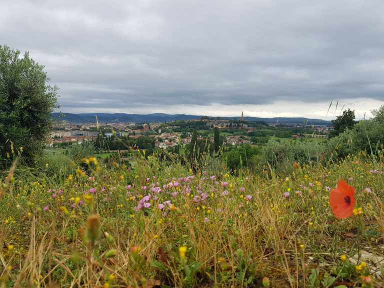 Arezzo, tutte le notizie di oggi: 3 Giugno