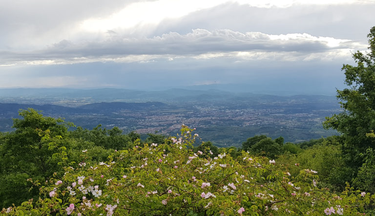 Arezzo, tutte le notizie di oggi: 10 Giugno