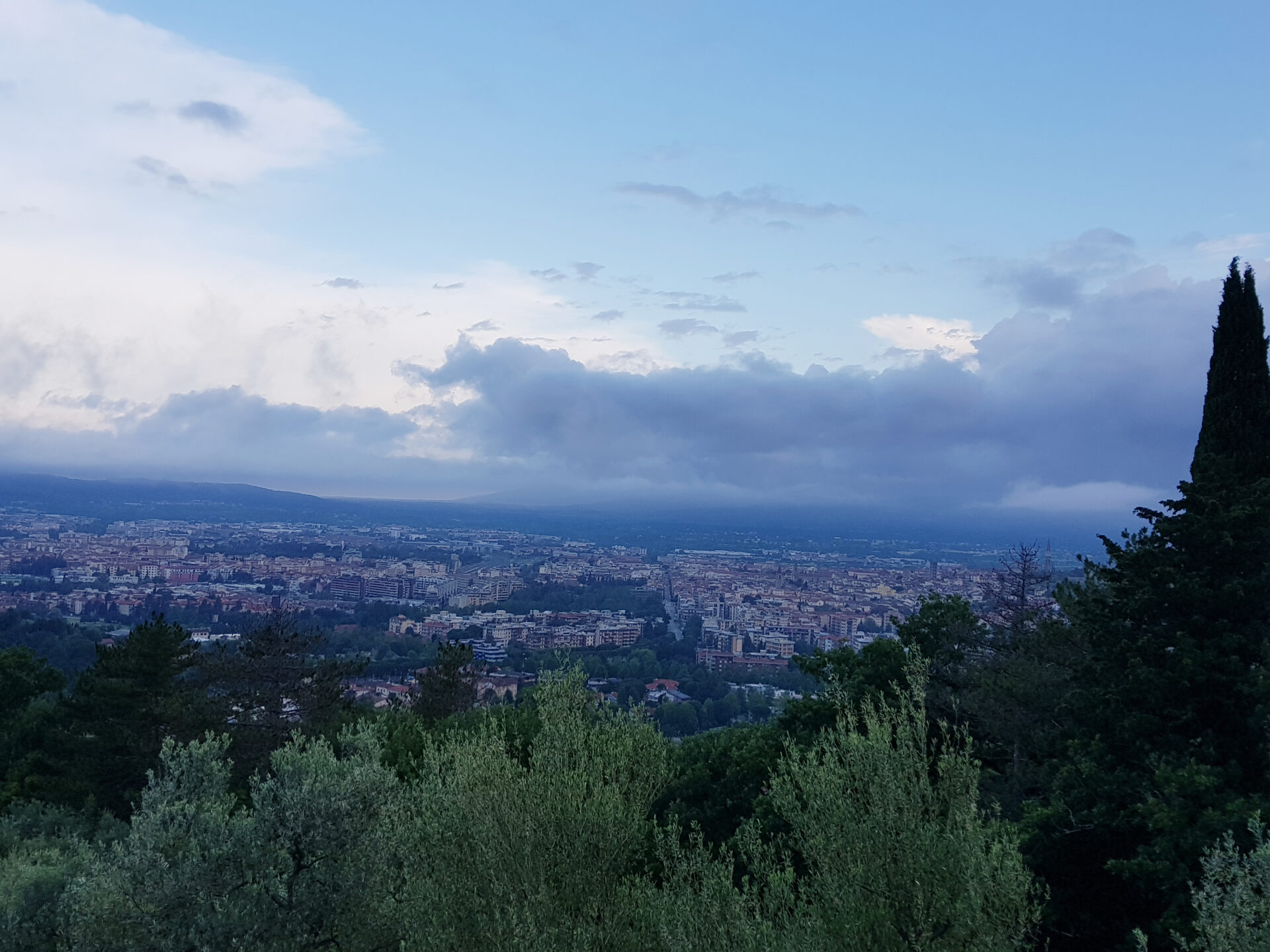 arezzo