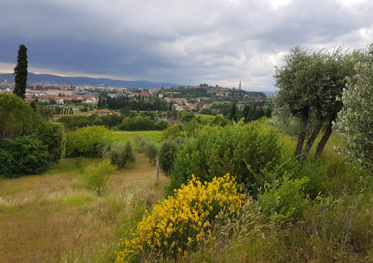 Arezzo, tutte le notizie di oggi: 6 Giugno