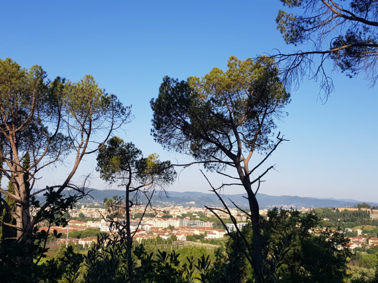 Arezzo, le notizie di oggi: 29 Giugno
