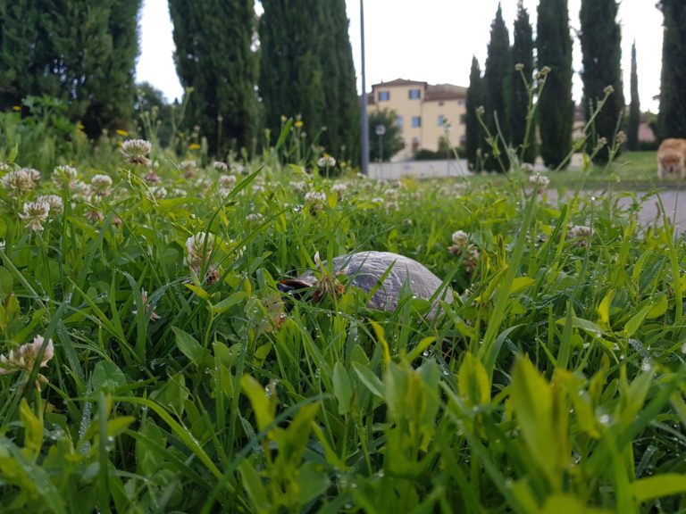 Villa Severi, lo scempio continua