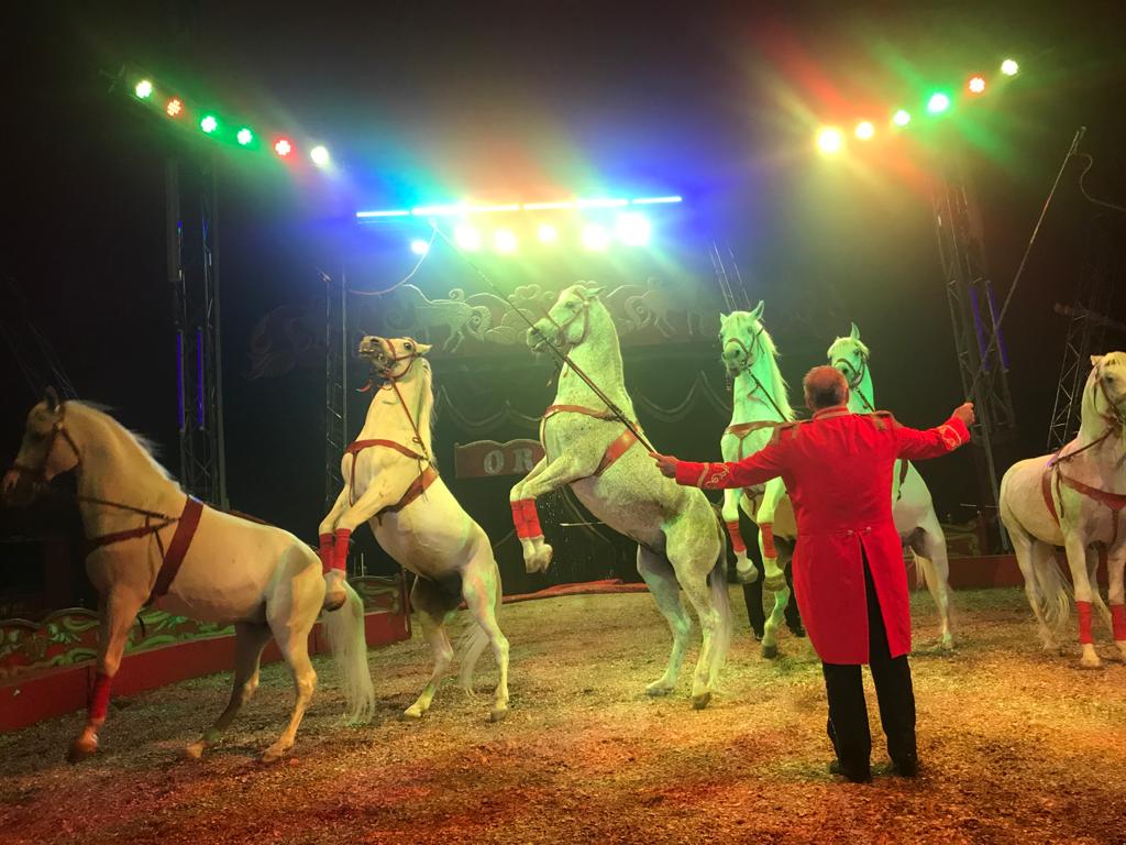 Circo Orfei (1)