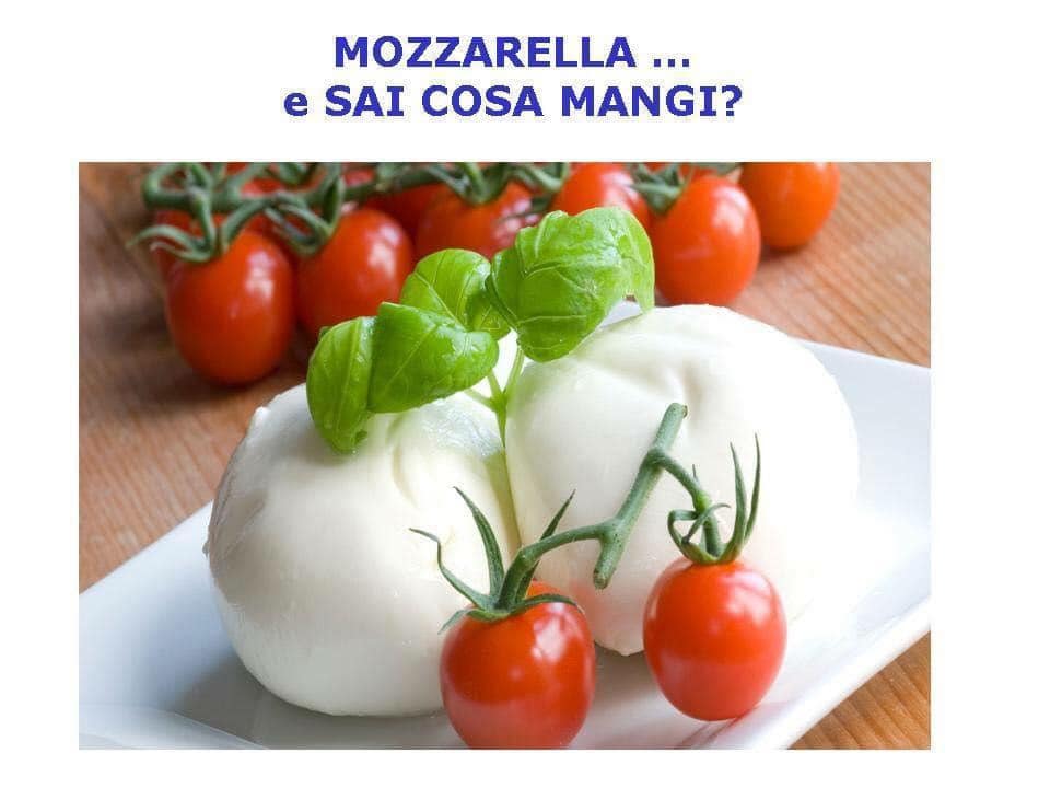Mozzarella