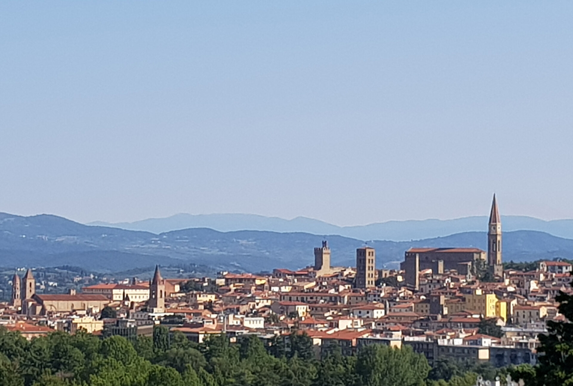 arezzo