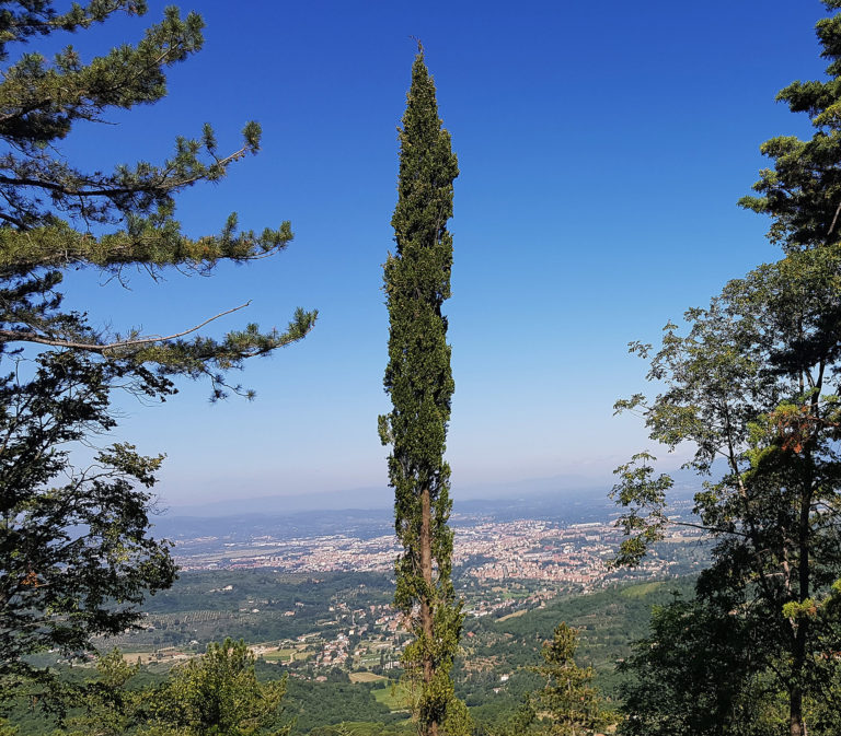 Arezzo, le notizie di oggi: 2 Luglio