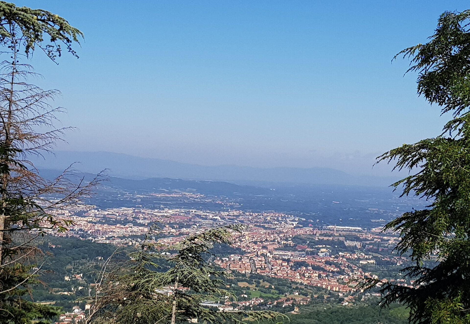arezzo
