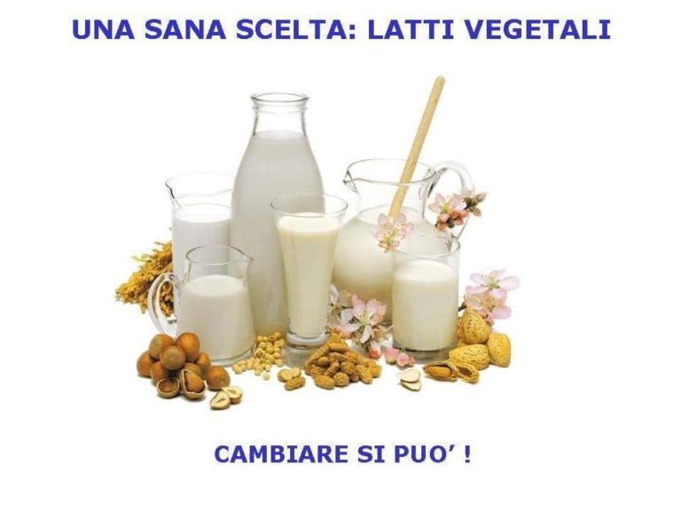 Una sana scelta: i latti vegetali