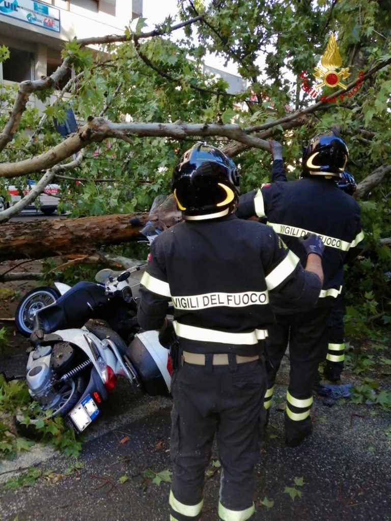 Arezzo, le notizie di oggi: 24 Luglio