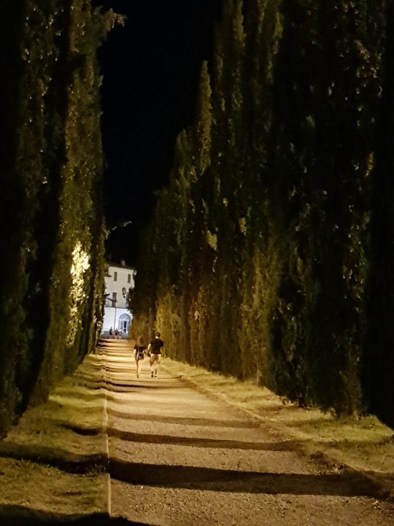 Arezzo, le notizie di oggi: 13 Luglio