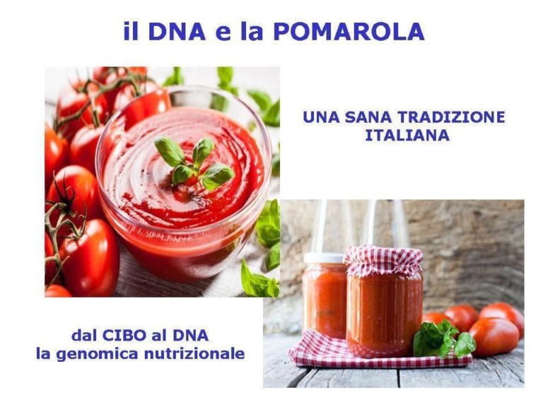 Il pomodoro e il nostro DNA la genomica nutrizionale