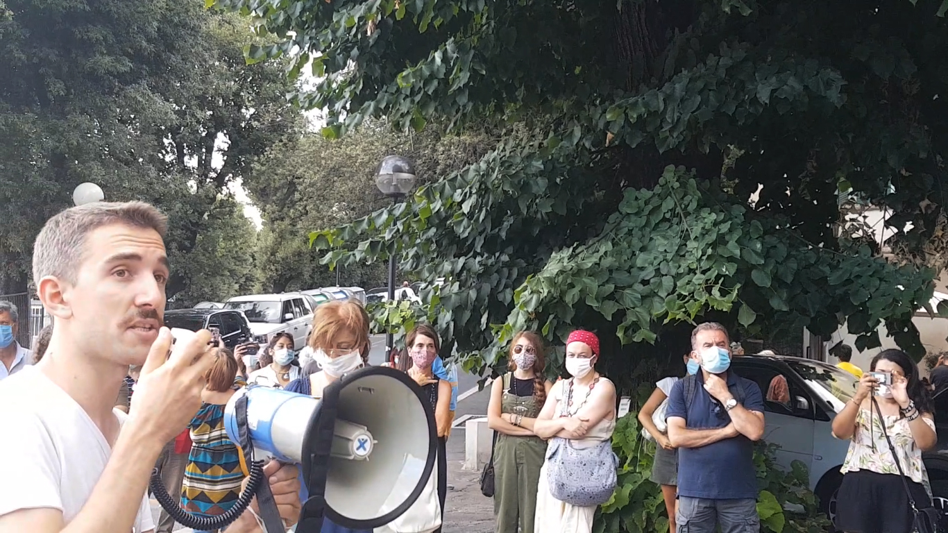 flashmob-alberi-