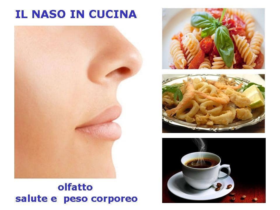 olfatto