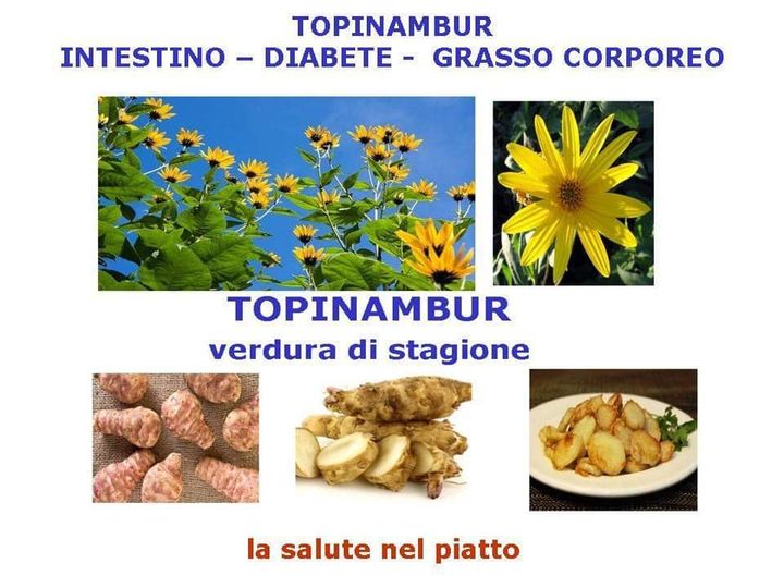 Topinambur