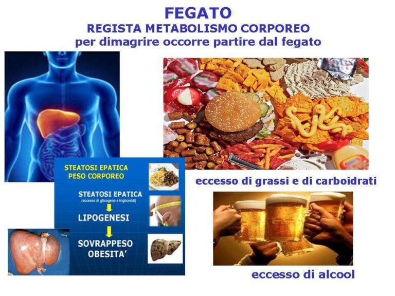 Partire dal fegato per dimagrire