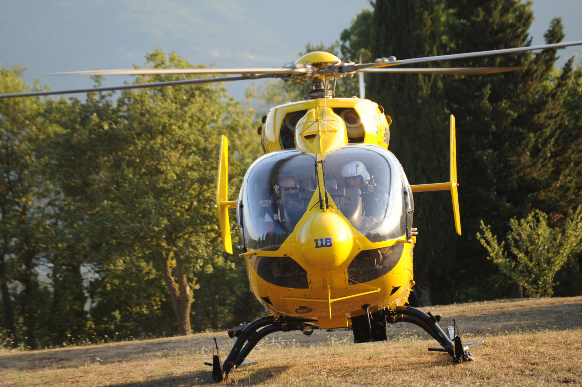 Pegaso 118
