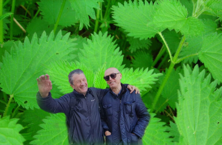 L’ Ortica gentile