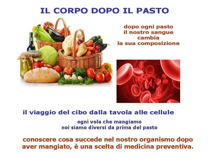 Il corpo dopo il pasto!