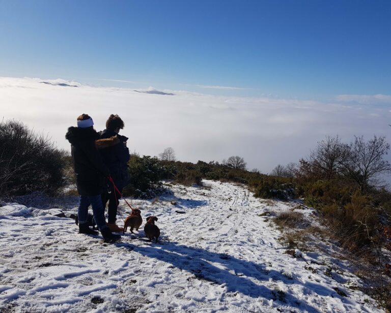 Arezzo, le notizie di oggi: 9 Gennaio