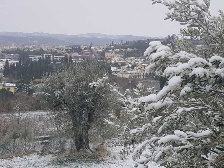 Arezzo, le notizie di oggi 13 Febbraio