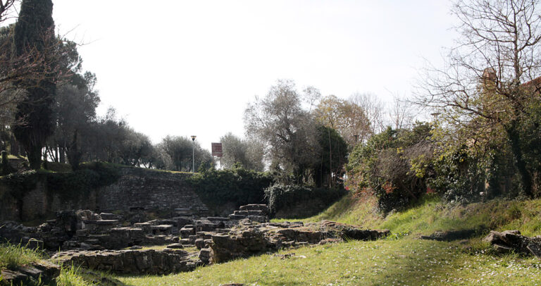 Parco del Pionta una  discarica di siringhe