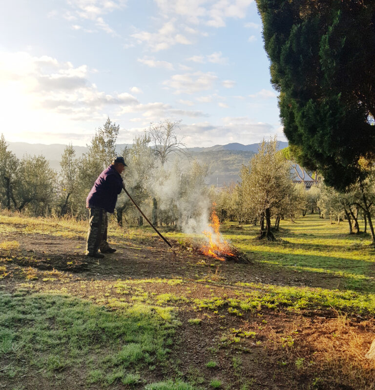 Incendi, dal 1 luglio vietato accendere fuochi in tutta la Toscana
