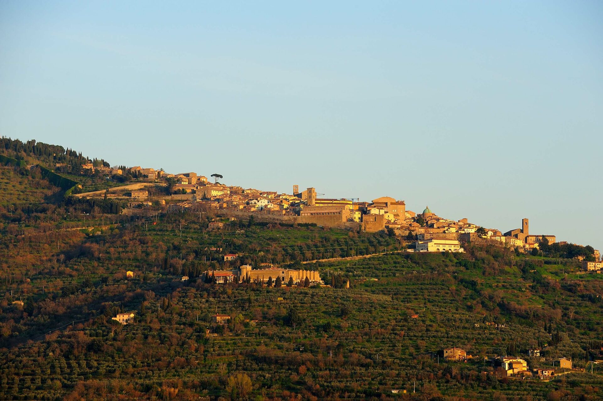 -- Cortona