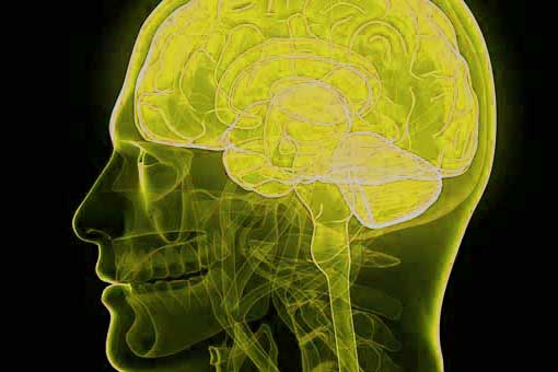 Non invecchiare nel cervello