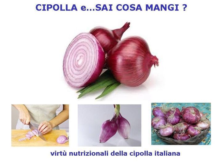 cipolla
