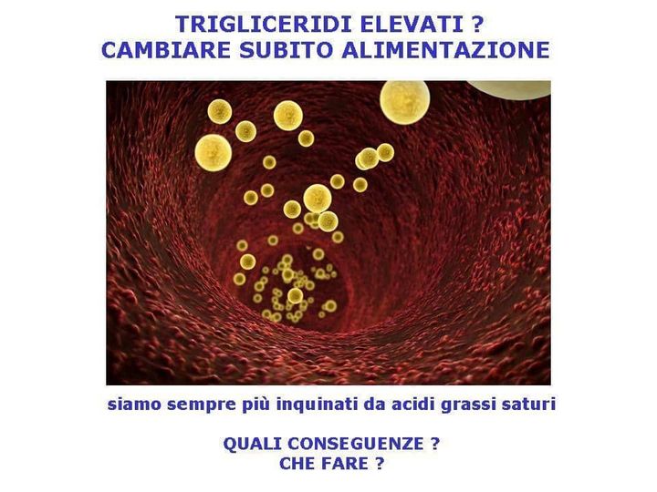 trigliceridi