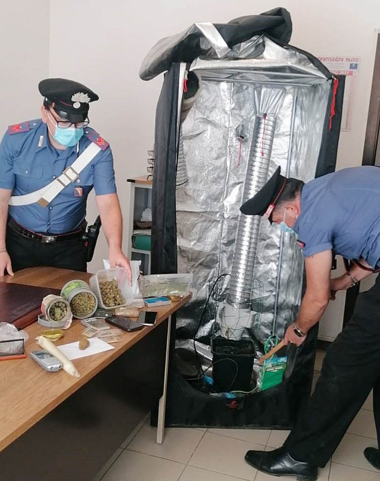 Contrasto allo spaccio: i Carabinieri arrestano un 26enne e sequestrano oltre mezzo chilo di droga