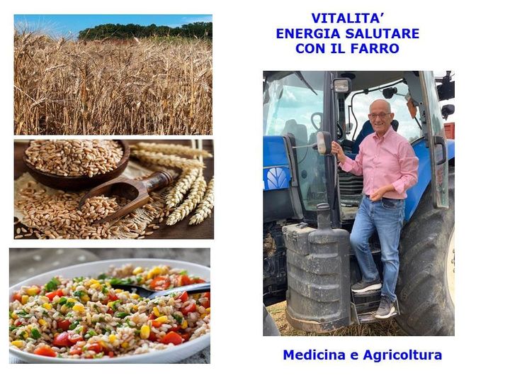 Insalata di farro, salutare piatto estivo