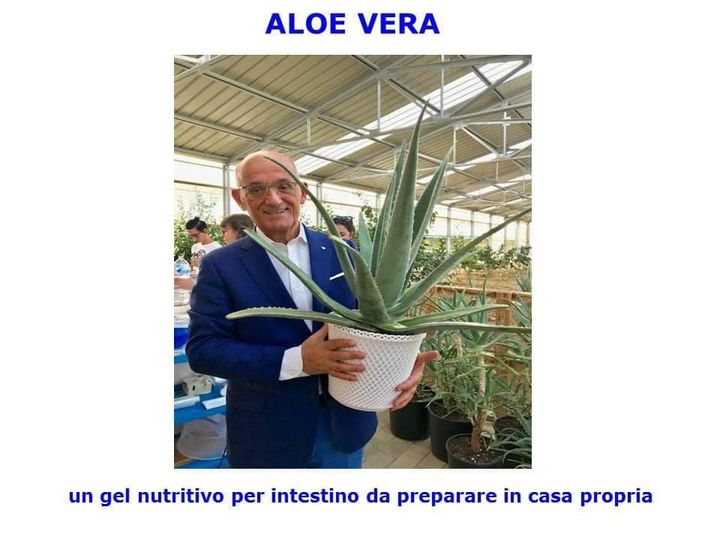 Aloe dott.Rossi