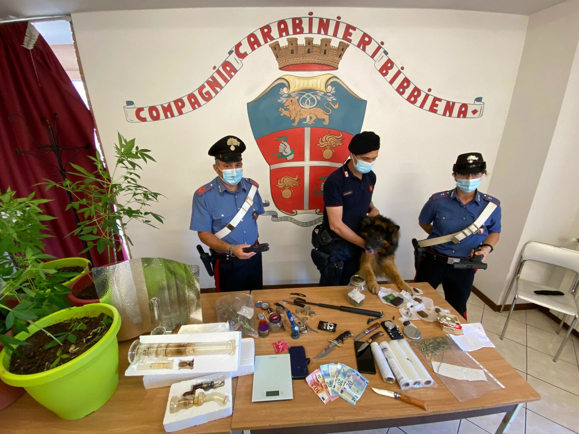 Carabinieri Bibbiena ed unità cinofila