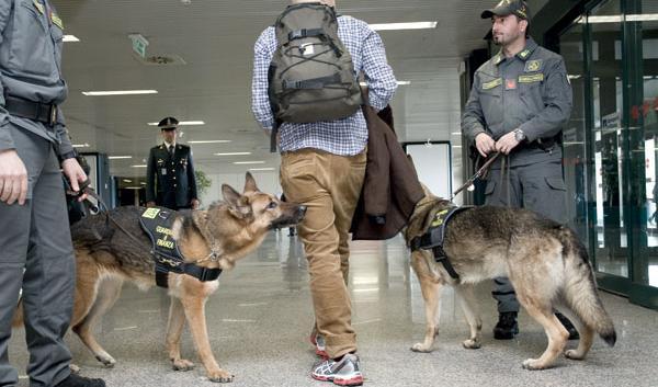 Controlli antidroga delle fiammme Gialle alla stazione ferroviaria, otto giovani segnalati 4 sono minorenni