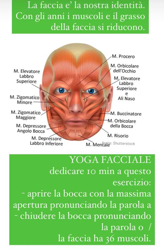 Il sorriso