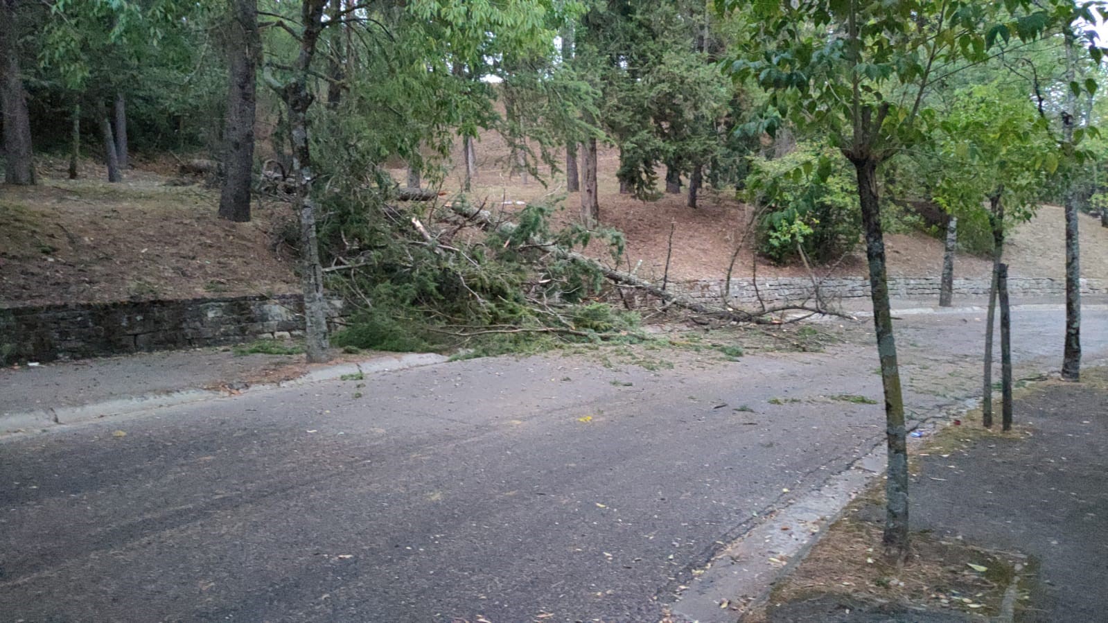 Mantempo Viale Buozzi2