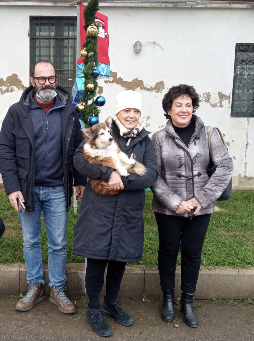 OIPA e Comune di Arezzo, un impegno comune verso la tutela degli animali