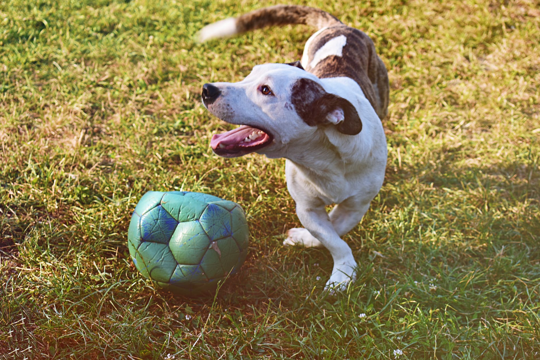 Pallone sgonfiato