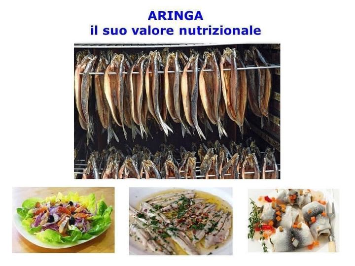 Un pesce dimenticato Aringa