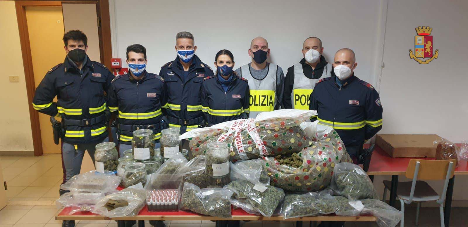 La Polizia di Arezzo arresta due trafficanti di droga e sequestra una serra dove veniva coltivata marjuana