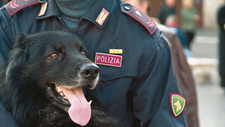 Foto unità cinofila