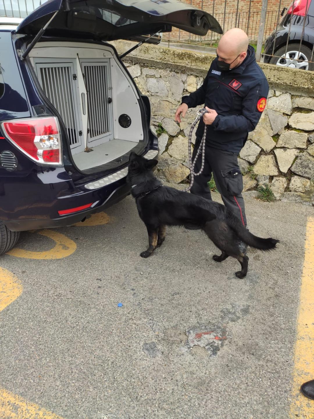 Nucleo Cinofili Carabinieri di Firenze
