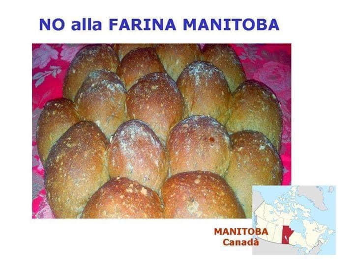Farina Manitoba