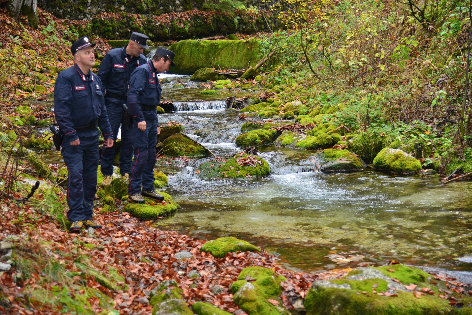 carabinieri-forestali