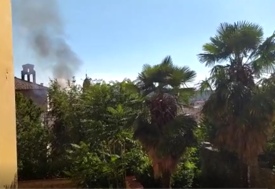 A fuoco canneto di un giardino in centro