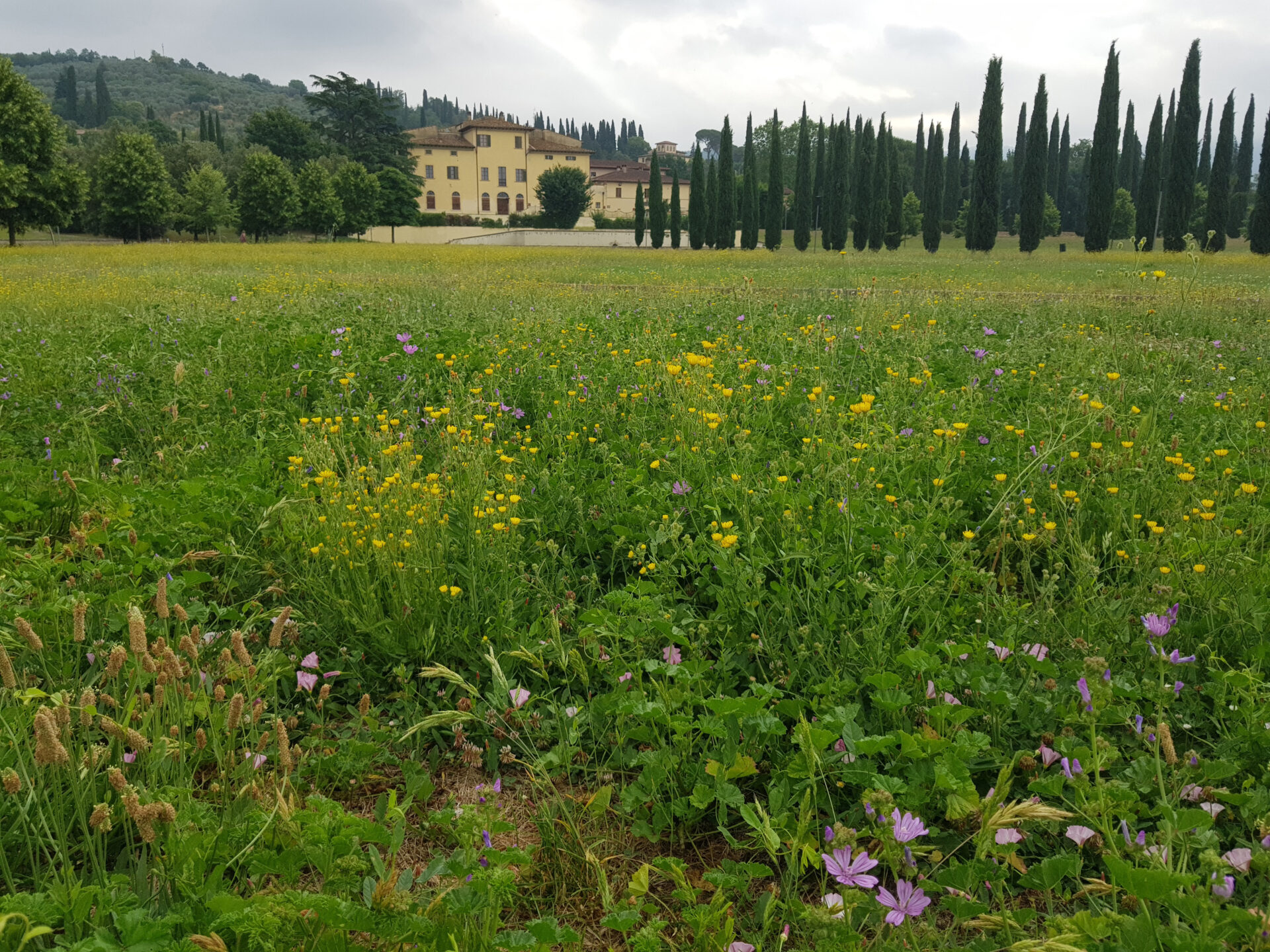 Villa severi