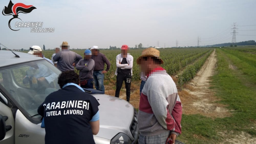 Carabinieri azienda agricola